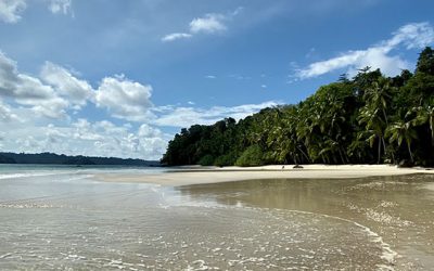 The 10 reasons to visit Panama in 2020